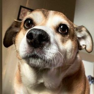 Meet your Posher, Paul